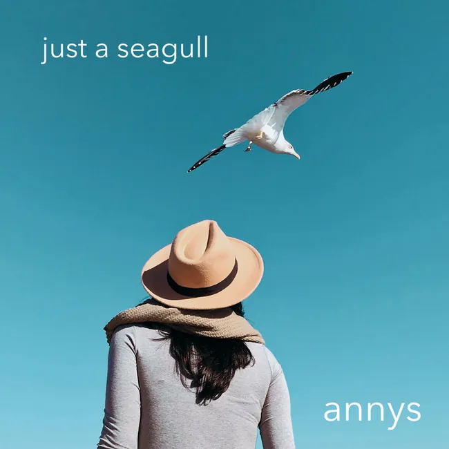 Cover til Just a Seagull