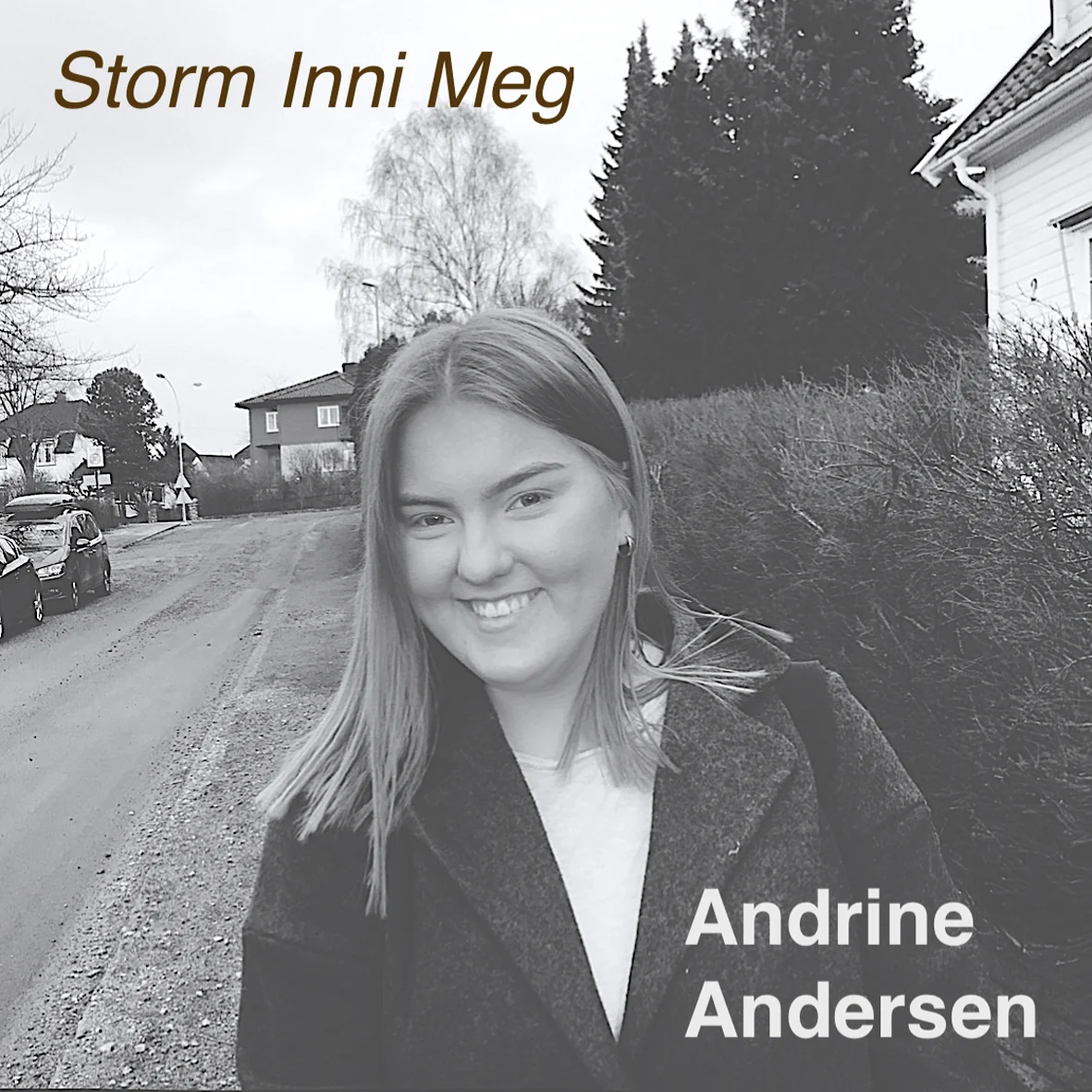 Cover til Storm inni meg av Andrine Andersen